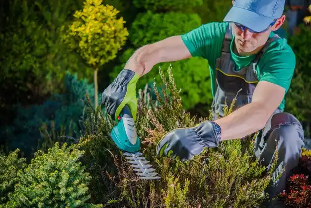 landscaping services Baxter Estates